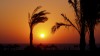 Sundown... - Anna Boschmann
