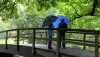 im Regen... - Helga Brunsmann