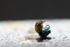 tot... - Anja Brunsmann tot... - Anja Brunsmann