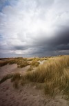 in den Dünen... - Stephanie Jegliczka in den Dünen... - Stephanie Jegliczka