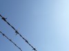 nur zur Sicherheit - Anja Brunsmann