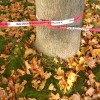 gesperrt im Herbst - Anja Brunsmann
