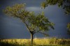 Wetterfront - Anna Janzen Wetterfront - Anna Janzen