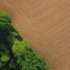 Feld und Wald... - Helga Brunsmann Feld und Wald... - Helga Brunsmann