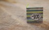 100... - Anja Brunsmann 100... - Anja Brunsmann