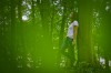 junge Frau im Wald - Anja Brunsmann