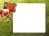 Pictureback Mohn - Anja Brunsmann Pictureback Mohn - Anja Brunsmann